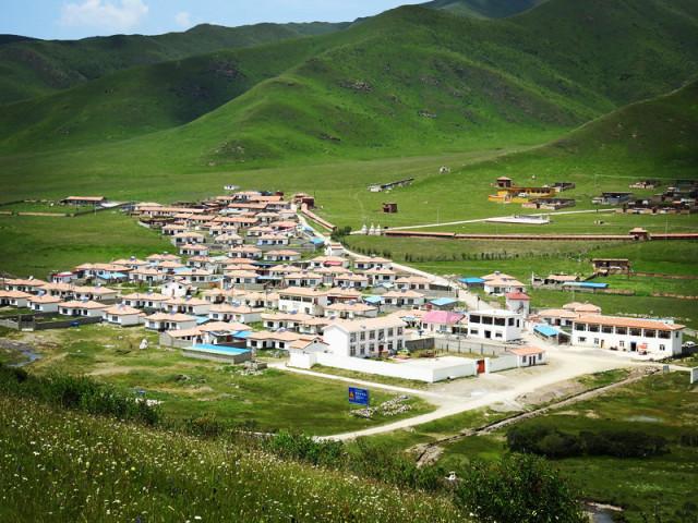 僵尸敲方块